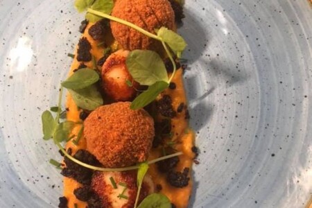 _gallery_scallops